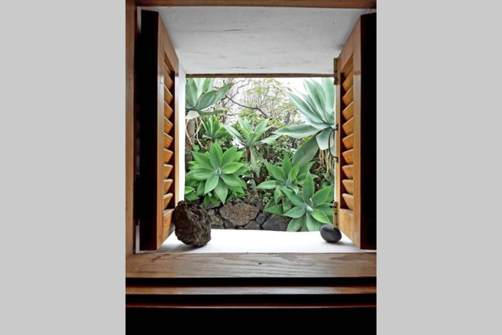 Casa Agave 1 Villa Jerez de la Jerez de la Frontera Dış mekan fotoğraf